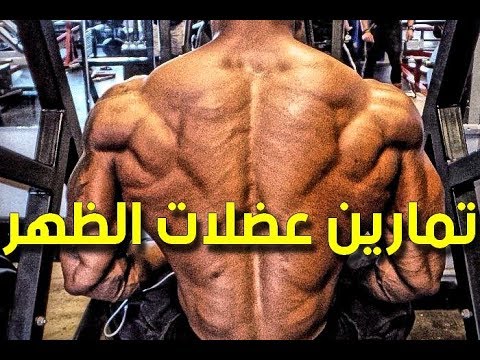 تمارين عضلات الظهر - تقوية عضلات الظهر 2956 1