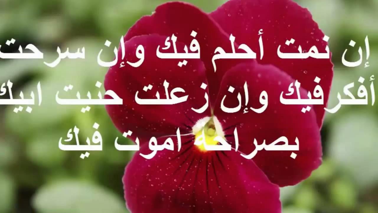 اجمل الرسائل للحبيب - ارقي واحلي الكلامات لاغلي حبيب 3663 1