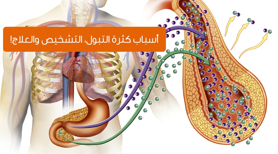 اسباب دخول الحمام كتير - مشاكل صحيه خطيره من اعراضها كثره التبول 1015 3