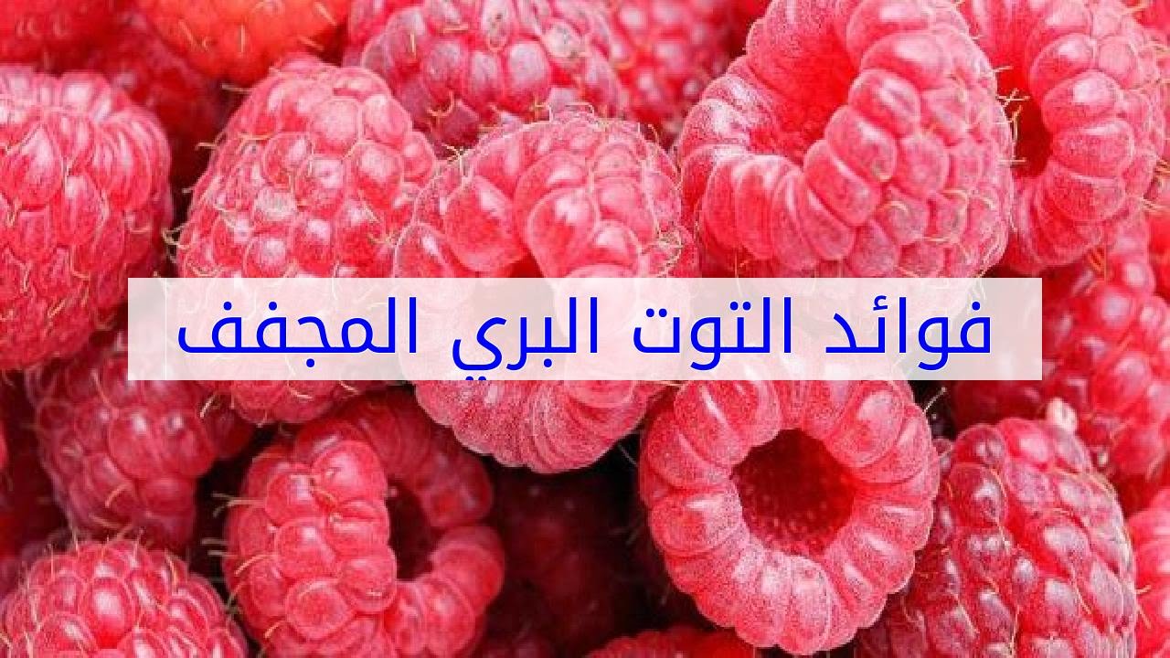 فوائد التوت البري المجفف - ما تاثير التوت المجفف على الانسان 2527