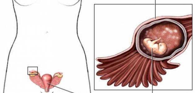 اعراض الحمل قبل الدورة الشهرية بيومين , علامات بسيطة لمعرفة وجود حمل ام لا