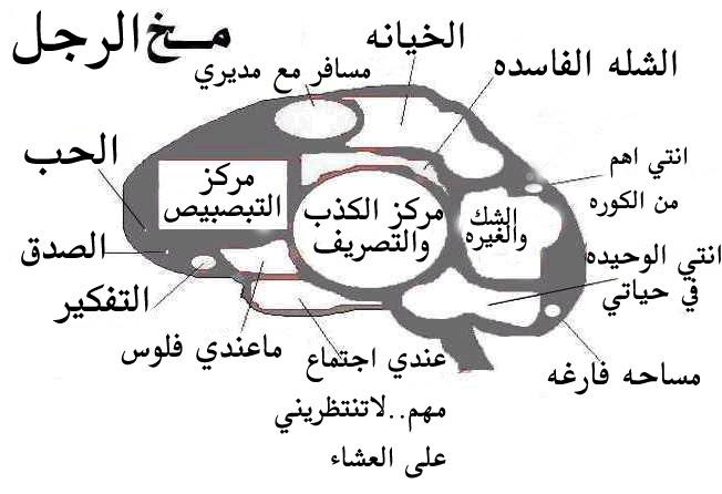 صور خيانة الرجل - عيون الشباب زايغة في كل مكان 1703 13