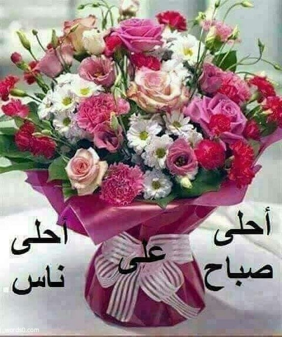 صباح الخير صور - صبح على الناس باجمل الكلمات 5839 10