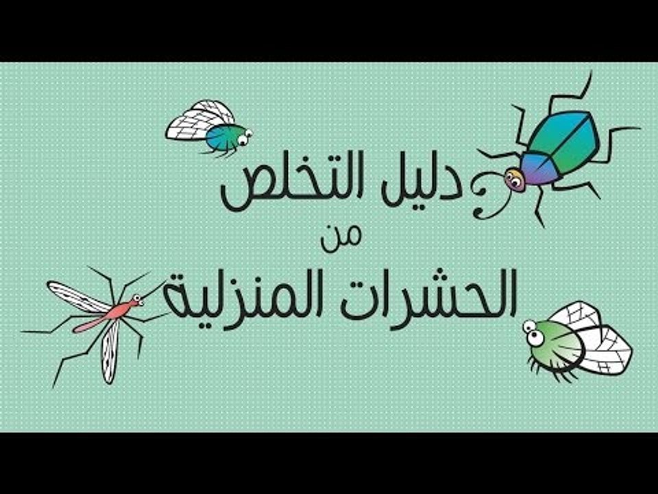 التخلص من الحشرات المنزلية - خلي بيتك نضيف من الحشرات 2256 11