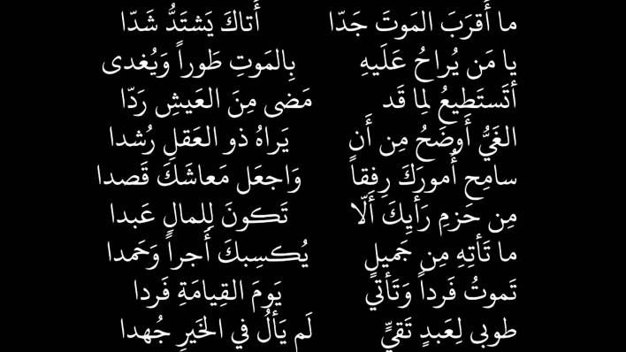 اصعب ابيات المتنبي - الشعر العربي الاصيل 5799 8