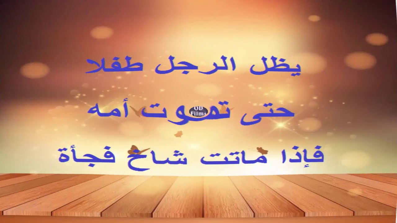 امثال وحكم مصرية - كلام مصرى اصيل 2607 8