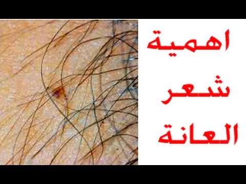 ما فائدة شعر الابط والعانه , ماذا يعني ازالة شعر الابط والعانه