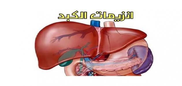 علاج ارتفاع انزيمات الكبد جابر القحطاني , مواجهة زيادة انزيمات الكبد على طريقة القحطاني الخبير