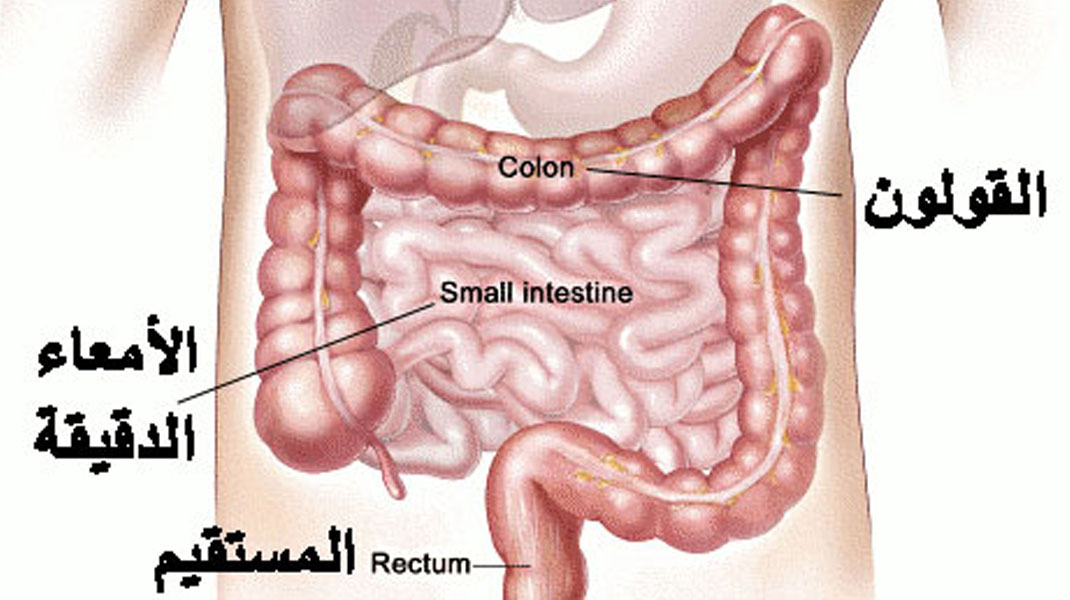 اسباب مرض القولون العصبي - القولون العصبى ومن اين ياتى