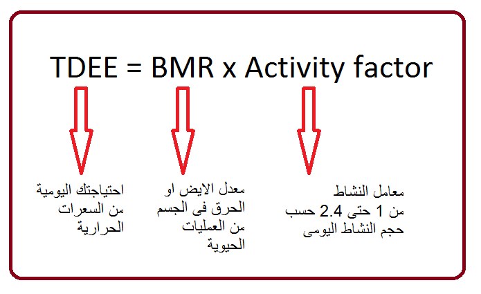 ما هي السعرات الحرارية التي يحتاجها الجسم - تنظيم سعرات الجسم الحراريه المناسبه للطول و الوزن 1013