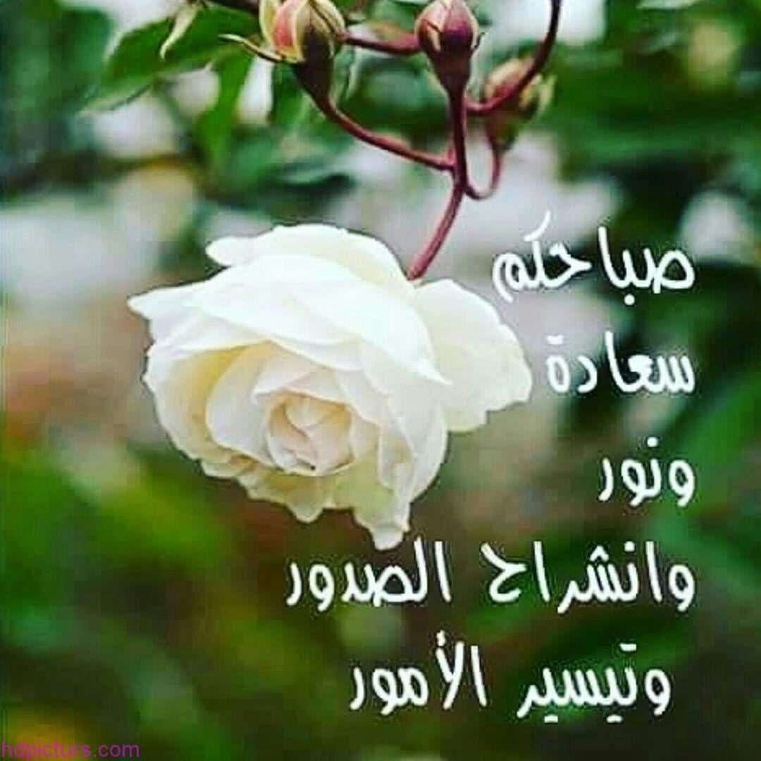 بطاقات صباح النور - ما اروع صباح النور بين الاحبة والاهالي 403 10