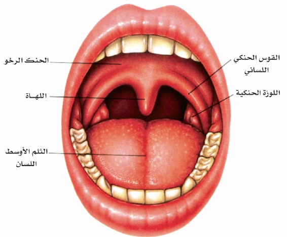 ماهو علاج التهاب اللوزتين - بالاعشاب الطبيعية تخلص من التهاب اللوزتين 3747 3