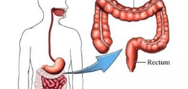 اعراض الامعاء الغليظة - تجنب امراض المعدة