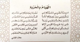 مدح فتاة محترمة - كلام عن فتاه محترمه 3810 10