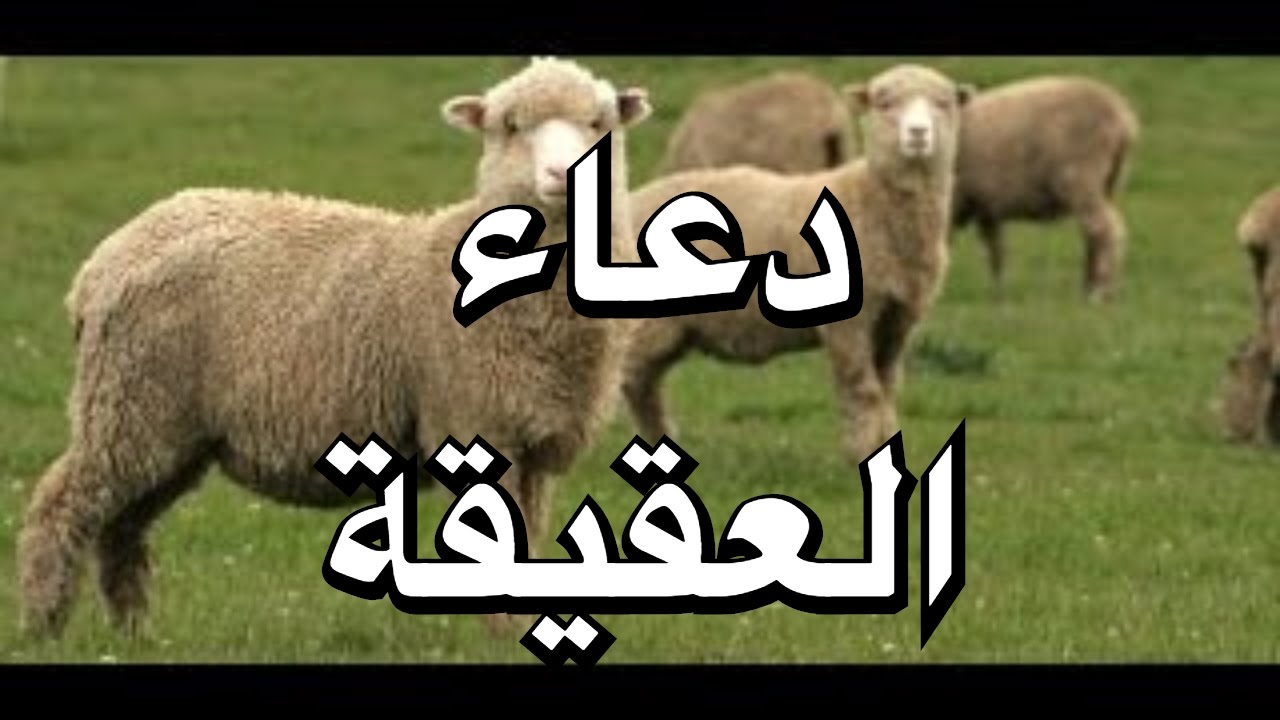 دعاء ذبح العقيقة , ما حقائق الدعاء عند ذبح العقيقه