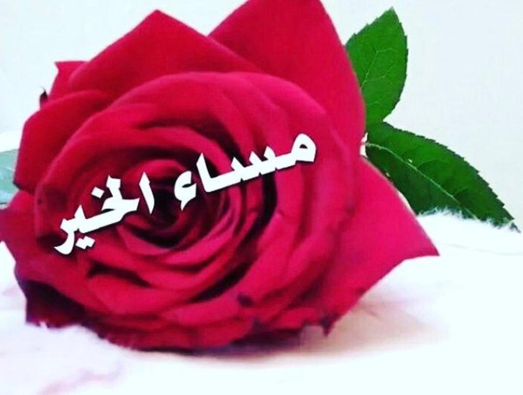 صور مساء الورد احلى مسا مع خواطري دلوعه كشخه